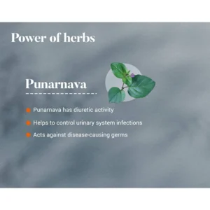 Himalaya Punarnava